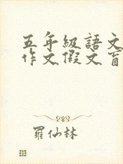 五年级语文下册作文假文盲