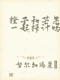 橙子和芒果可以一起榨汁吗