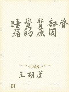 睡觉背部脊椎疼痛的原因