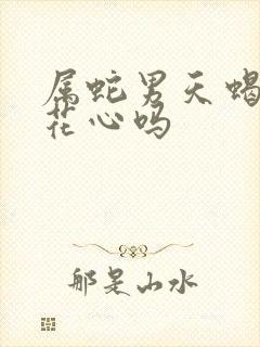 属蛇男天蝎座 花心吗