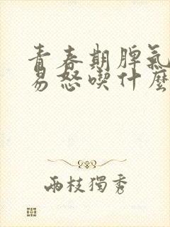 青春期脾气暴躁易怒吃什么药