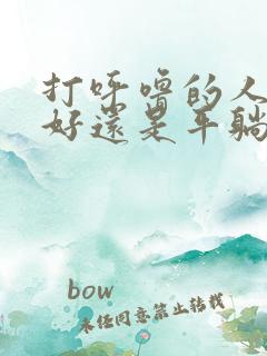 打呼噜的人侧睡好还是平躺着睡好