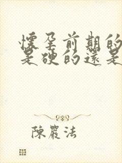 怀孕前期的肚子是硬的还是软的