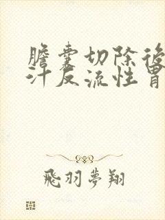 胆囊切除后有胆汁反流性胃炎怎么办