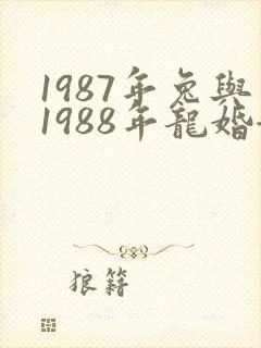 1987年兔与1988年龙婚姻是否相配