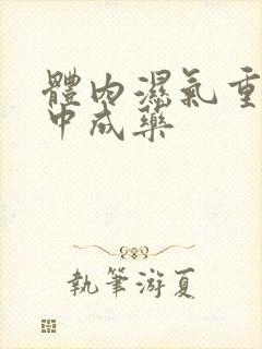 体内湿气重吃啥中成药