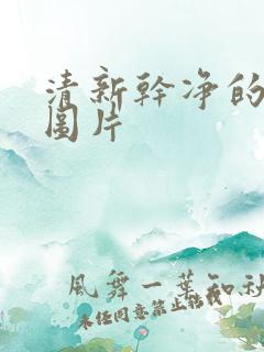 清新干净的背景图片