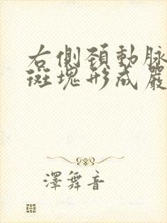 右侧颈动脉粥样斑块形成严重吗