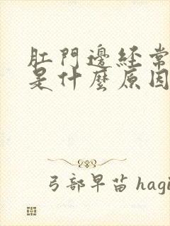 肛门边经常痒,是什么原因