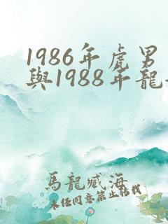 1986年虎男与1988年龙女相配吗