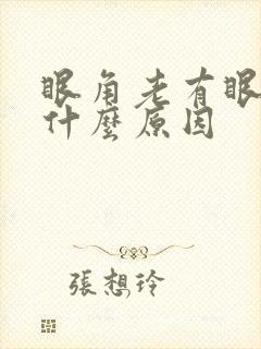 眼角老有眼屎是什么原因