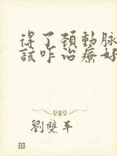 得了颈动脉斑块该咋治疗好