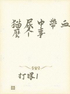 猫尿中带血是怎么个事