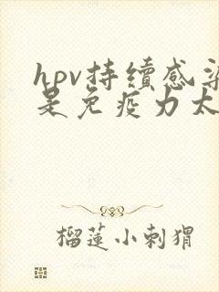 hpv持续感染是免疫力太差吗