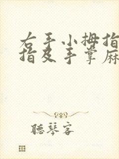 右手小拇指无名指及手掌麻木