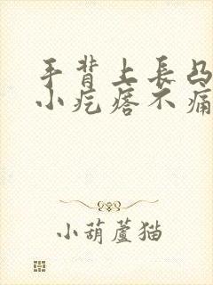 手背上长凸起的小疙瘩不痛不痒图片