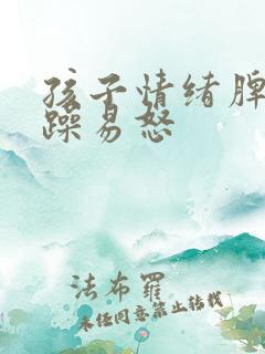 孩子情绪脾气暴躁易怒