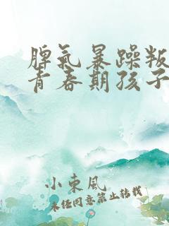 脾气暴躁叛逆的青春期孩子怎么办