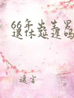 66年出生男性退休延迟吗