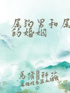 属狗男和属蛇女的婚姻