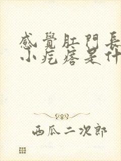 感觉肛门长了个小疙瘩是什么原因