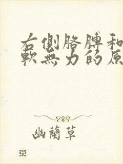 右侧胳膊和腿酸软无力的原因