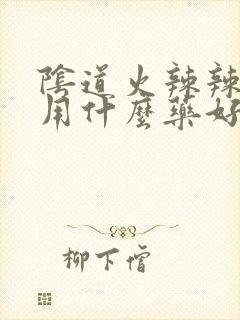 阴道火辣辣的疼用什么药好