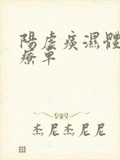 阳虚痰湿体质食疗单