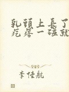 乳头上长了个肉疙瘩一碰就疼怎么回事