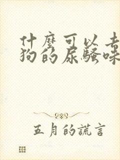 什么可以去除狗狗的尿骚味