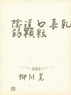 阴道口长乳白色的颗粒