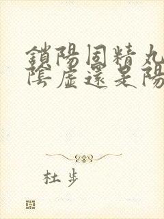 锁阳固精丸治疗阴虚还是阳虚