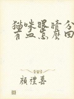 猫咪眼睛分泌物有血怎么回事