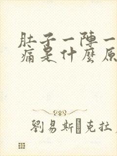 肚子一阵一阵的痛是什么原因引起的