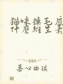 猫咪掉毛应该吃什么维生素