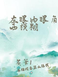 左眼内眼角看东西模糊