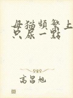 母猫频繁上厕所只尿一点