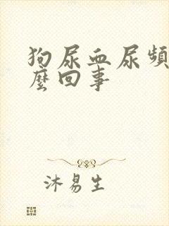 狗尿血尿频是怎么回事