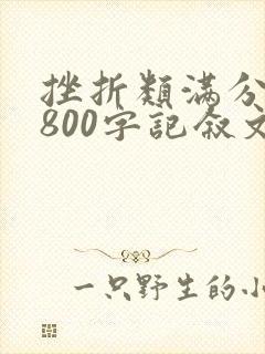 挫折类满分作文800字记叙文