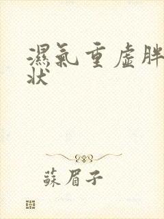 湿气重虚胖的症状