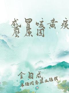 感冒咳黄痰是什么原因