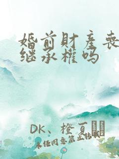 婚前财产丧偶有继承权吗