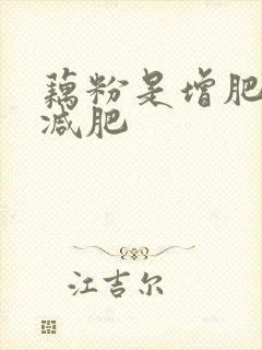 藕粉是增肥还是减肥