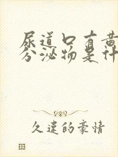 尿道口有黄白色分泌物是什么原因