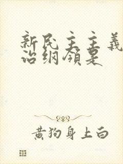 新民主主义的政治纲领是