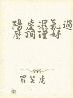 阳虚湿气过重怎么调理好