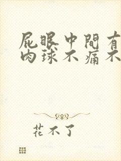 屁眼中间有一个肉球不痛不痒