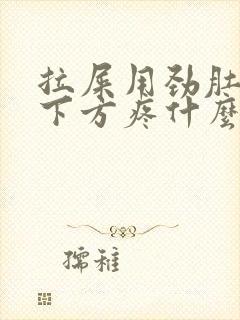 拉屎用劲肚子左下方疼什么原因