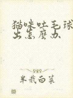 猫咪吐毛球吐不出怎么办