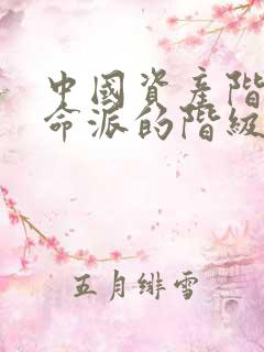 中国资产阶级革命派的阶级基础是